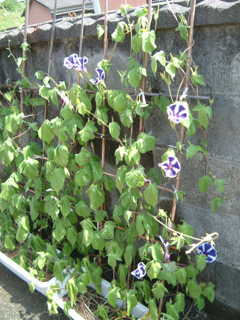 2011_0801_222932dscf0031