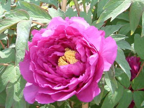 2012_0430_123638dscf0066