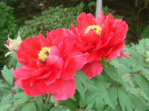2012_0430_124020dscf0073