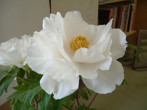 2012_0502_110028dscf0023