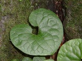 2010_0728_134130dscf0022_2